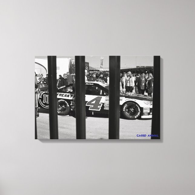 Lienzo Animal enjaulado (Anverso)