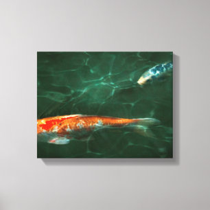 Lienzo Animal - Pez - Koi - Otro cuento de peces