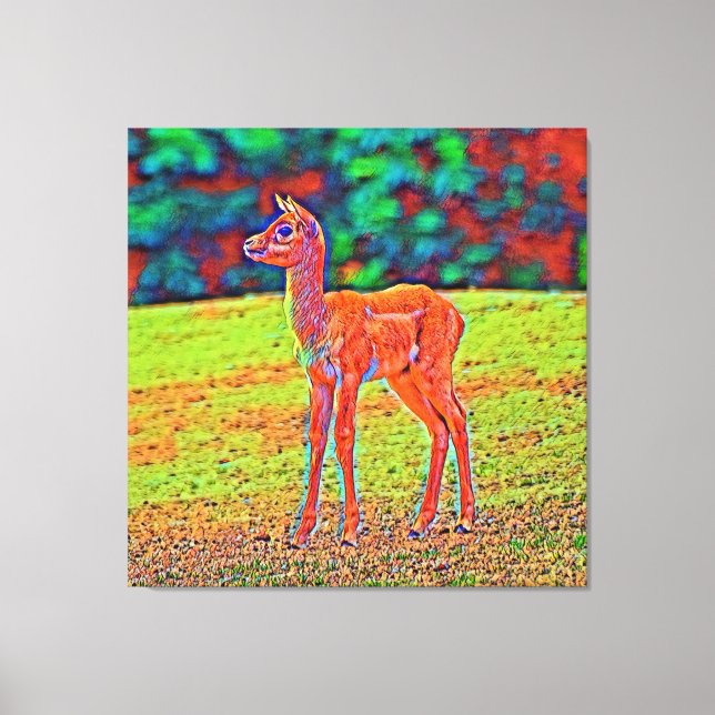 Lienzo AnimalColor_Antilope_001 (Anverso)
