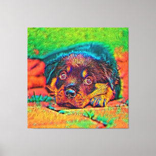 Lienzo AnimalColor_Dog_002