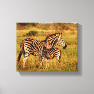 Lienzo Animales África cebra