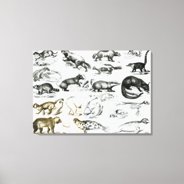 Lienzo Animales carnívoros (Anverso)