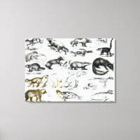 Animales carnívoros