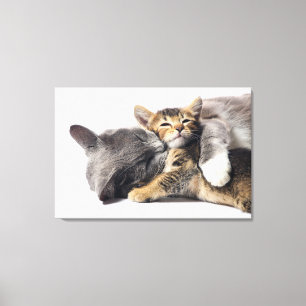 Lienzo Animales de bebé más afectados Abrazo de gatitos