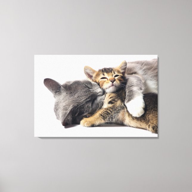 Lienzo Animales de bebé más afectados | Abrazo de gatitos (Anverso)