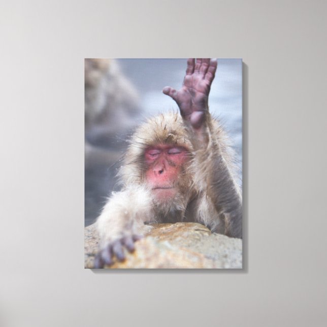 Lienzo Animales de bebé más afectados | Cara de mono de n (Anverso)