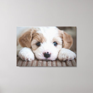 Lienzo Animales de bebé más afectados | Cavashon Puppy