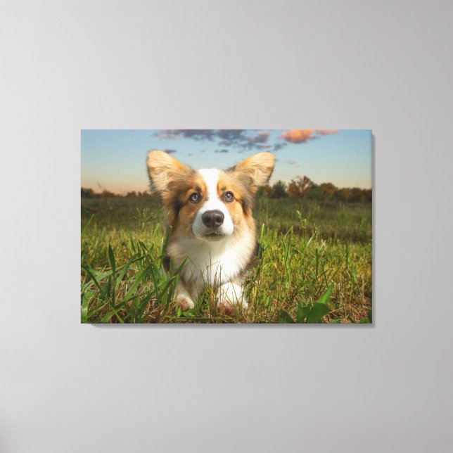 Lienzo Animales de bebé más afectados | Corgi en el Aveni (Anverso)