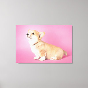 Lienzo Animales de bebé más afectados Corgi Puppy Rosa