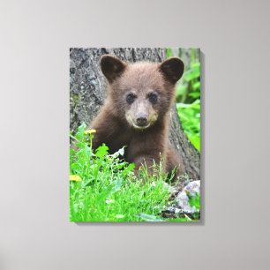 Lienzo Animales de bebé más afectados   Cubo de oso marró