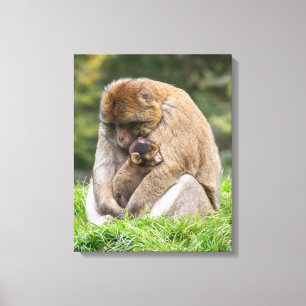 Lienzo Animales de bebé más afectados   Familia Barbary M