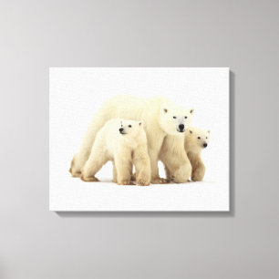 Lienzo Animales de bebé más afectados Familia Oso Polar