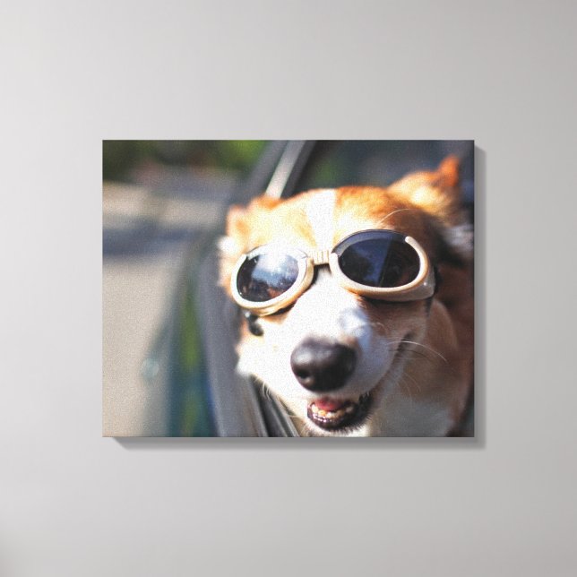 Lienzo Animales de bebé más afectados | Gafas de Corgi en (Anverso)