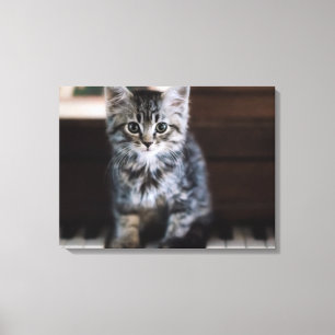 Lienzo Animales de bebé más afectados   Gatito en llaves 