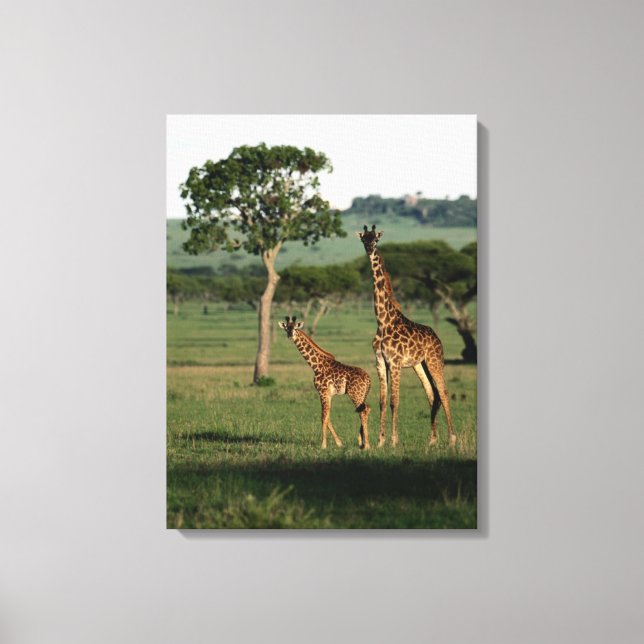 Lienzo Animales de bebé más afectados | Giraffe Calf & Ma (Anverso)