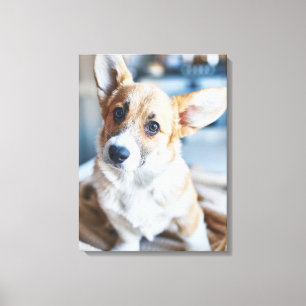 Lienzo Animales de bebé más afectados Inclinación de la