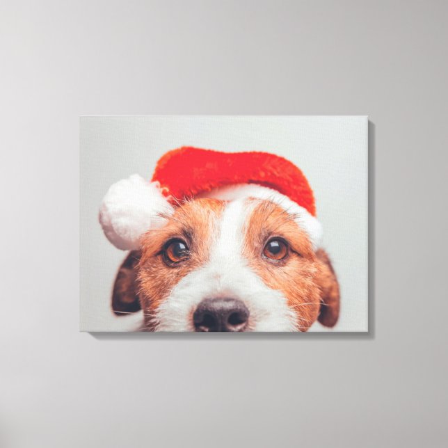 Lienzo Animales de bebé más afectados | Jack Russell Dog  (Anverso)