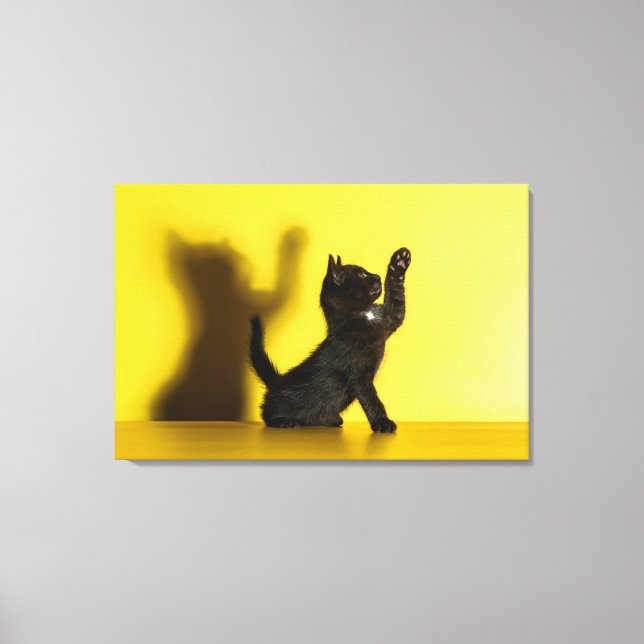 Lienzo Animales de bebé más afectados | Jugar al gato neg (Anverso)