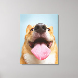 Lienzo Animales de bebé más afectados   Lengua Corgi