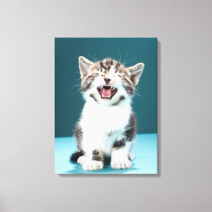 Lienzo Animales de bebé más afectados Meowing Baby Kitt