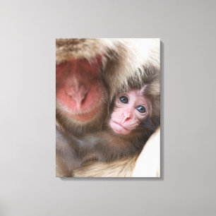 Lienzo Animales de bebé más afectados Mono de nieve