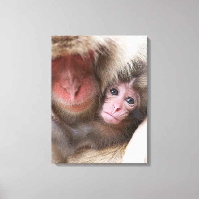 Lienzo Animales de bebé más afectados | Mono de nieve (Anverso)