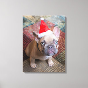 Lienzo Animales de bebé más afectados Navidades de Bull