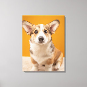 Lienzo Animales de bebé más afectados   Retrato de Corgi 