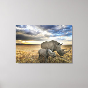 Lienzo Animales de bebé más afectados Rinoceronte blanc