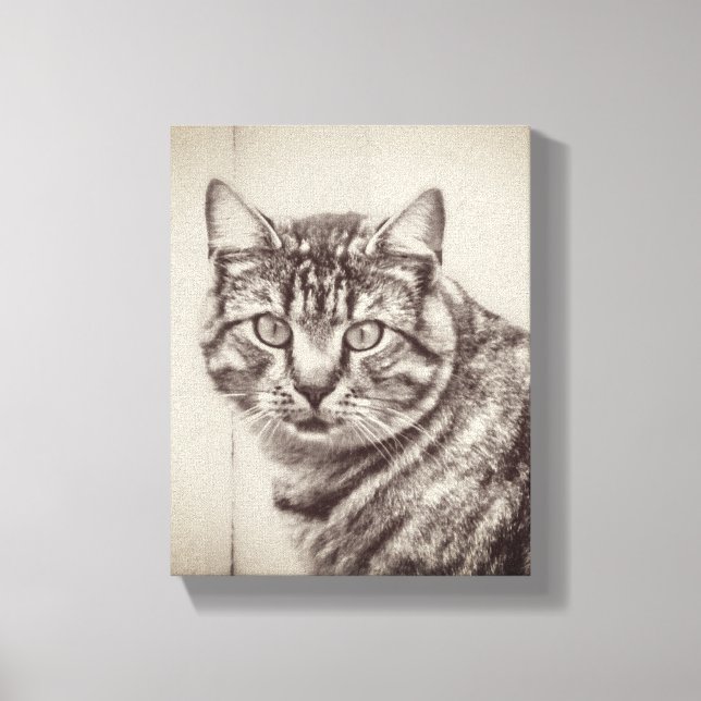 Lienzo Animales de la granja de gatos de grano 8 x 10 (Anverso)