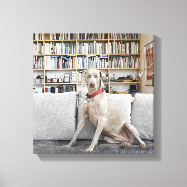 Lienzo Animales femeninos (Anverso)