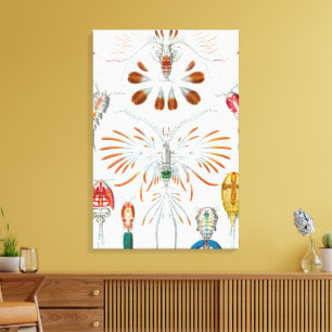 Lienzo Animales Oceánicos Antiguos, Copepoda por Ernst Ha