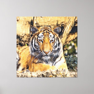Lienzo AnimalMix_Tiger_009