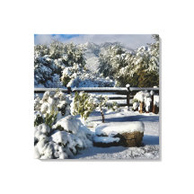 Ann Charles Snowy Day en Arizona