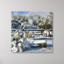 Lienzo Ann Charles Snowy Day en Arizona