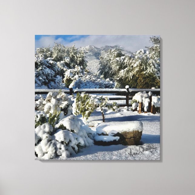 Lienzo Ann Charles Snowy Day en Arizona (Anverso)