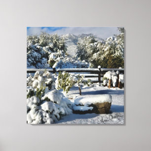 Lienzo Ann Charles Snowy Day en Arizona