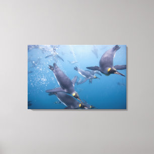 Lienzo Antártida, Isla de Georgia del Sur (Reino Unido),