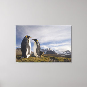 Lienzo Antártida, Islas Georgias del Sur (Reino Unido), R