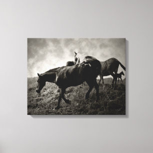 Lienzo Antes de la tormenta lona envuelta