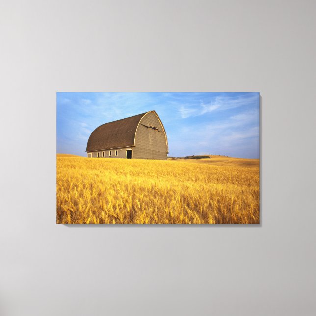 Lienzo Antiguo granero rústico en campo de trigo maduro e (Anverso)