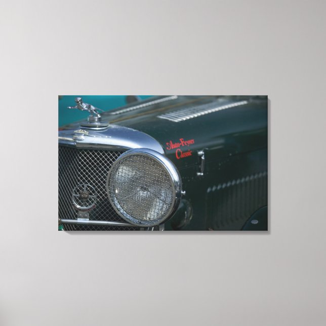 Lienzo antiguo jaguar (Anverso)