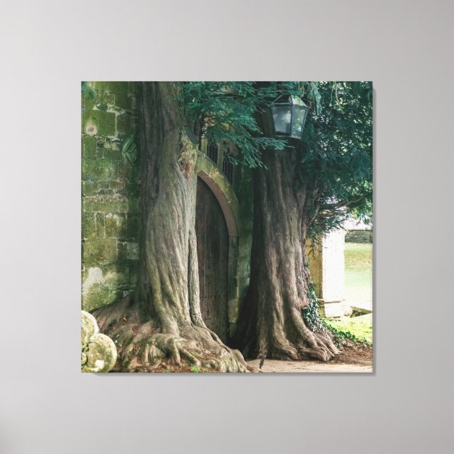 Lienzo Antiguos Yew Trees (Anverso)