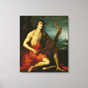Lienzo Apollo
