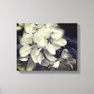 Lienzo Apple Florece En Blanco Y Negro
