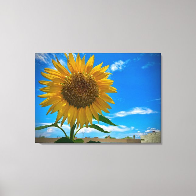 Lienzo Aquí viene el sol (Anverso)