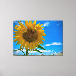 Lienzo Aquí viene el sol