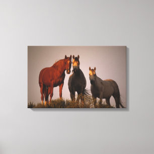 Lienzo Árabes en la puesta del sol