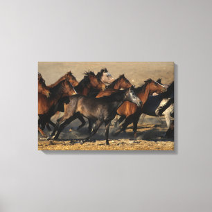 Lienzo Árabes que corren en el desierto