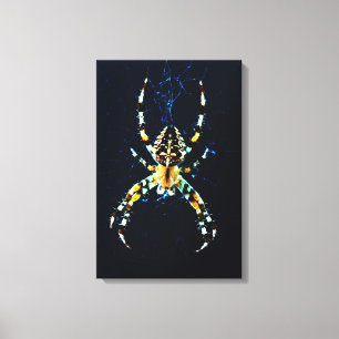 Lienzo Araña de jardín europeo 16x24 (40x60cm) waca